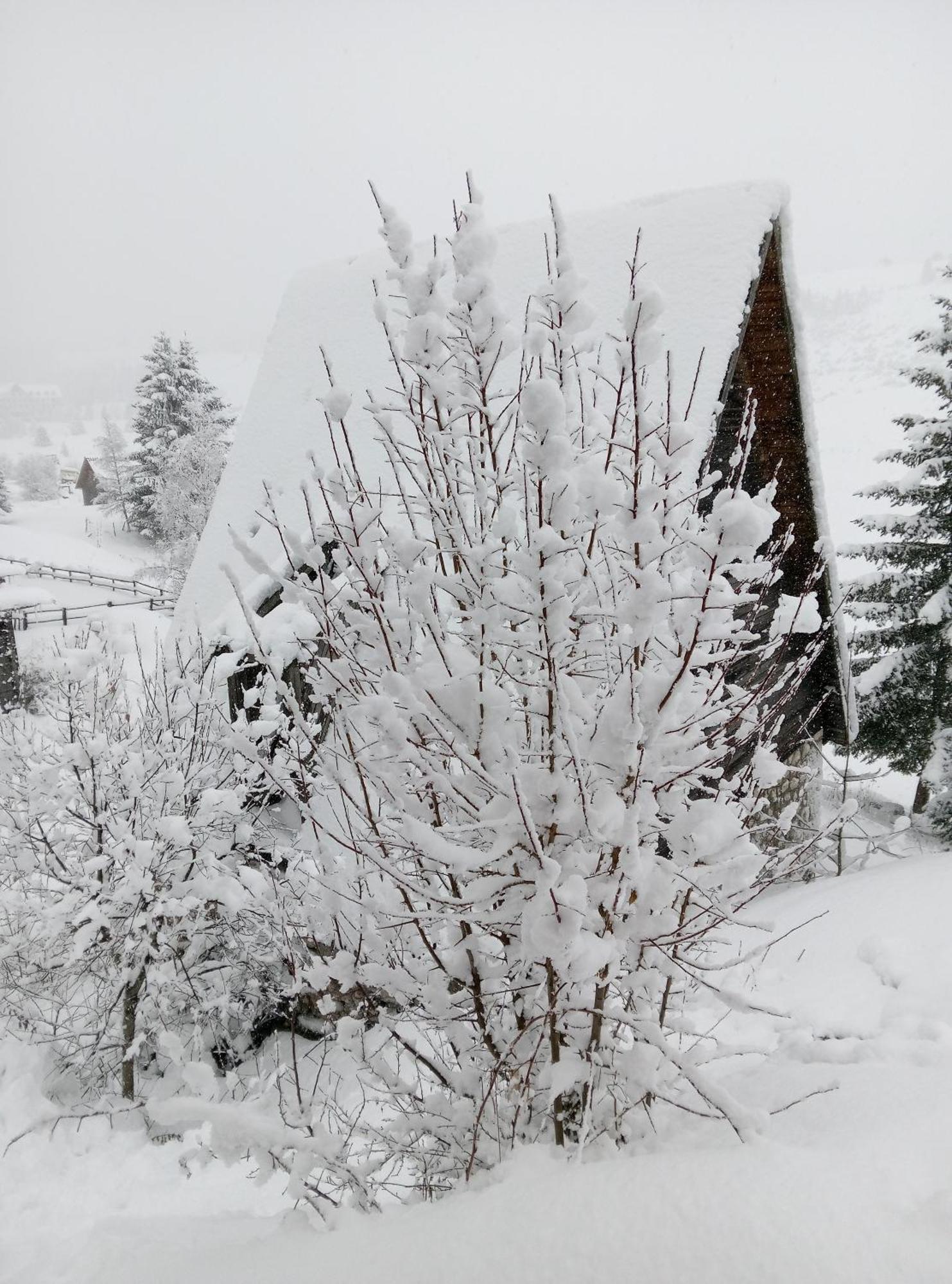 Durmitor Appartement Žabljak Buitenkant foto