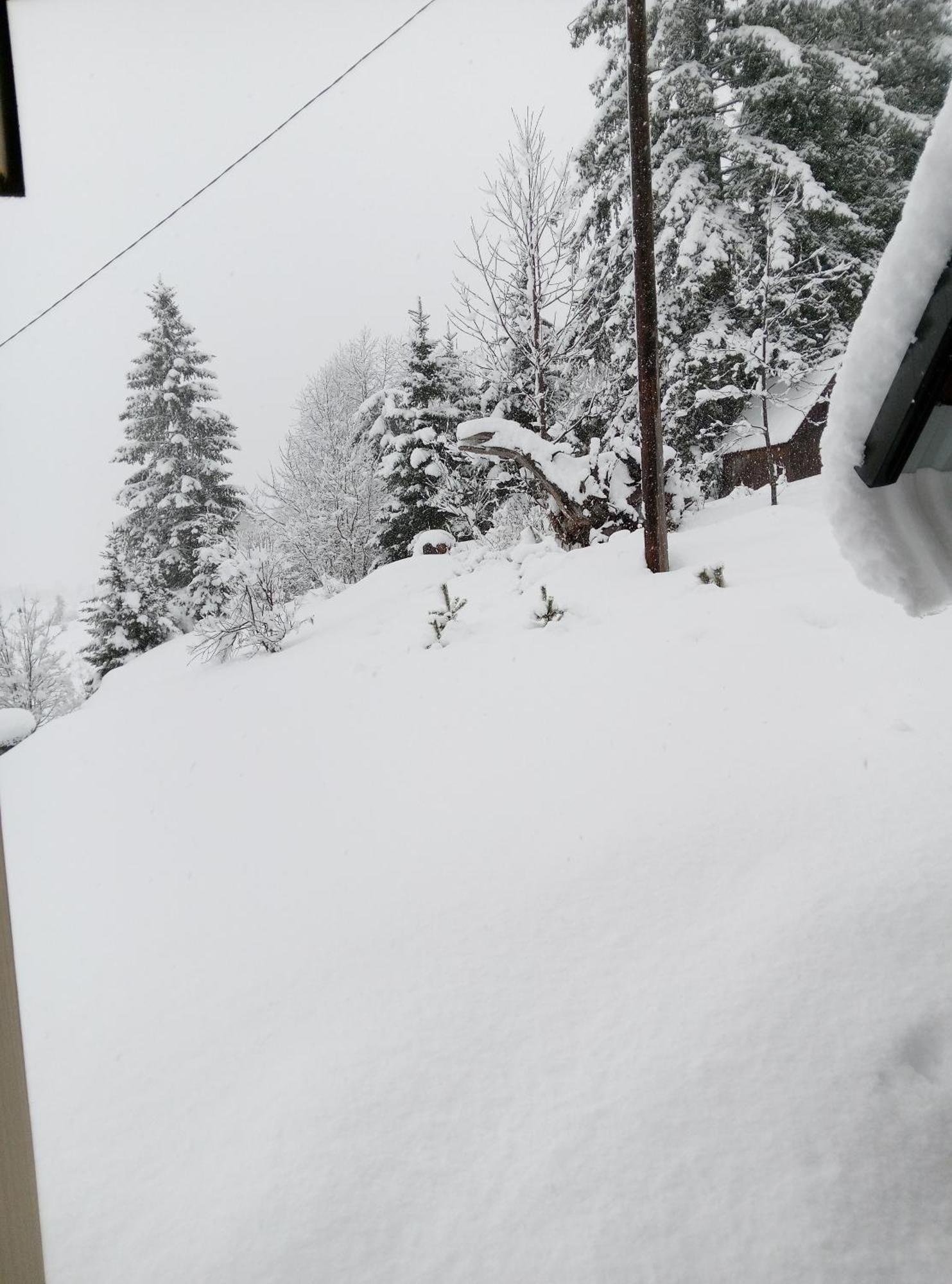 Durmitor Appartement Žabljak Buitenkant foto
