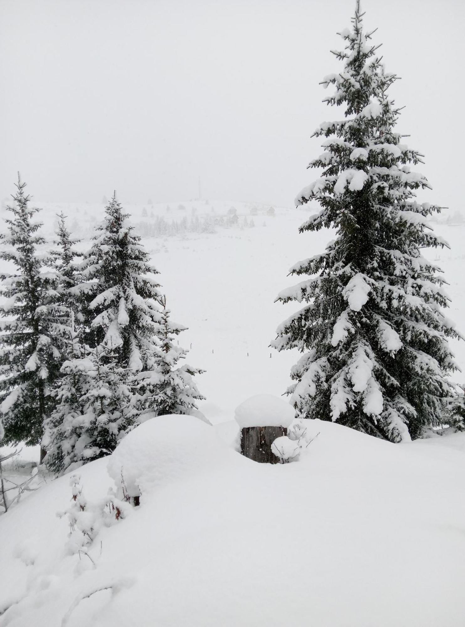 Durmitor Appartement Žabljak Buitenkant foto