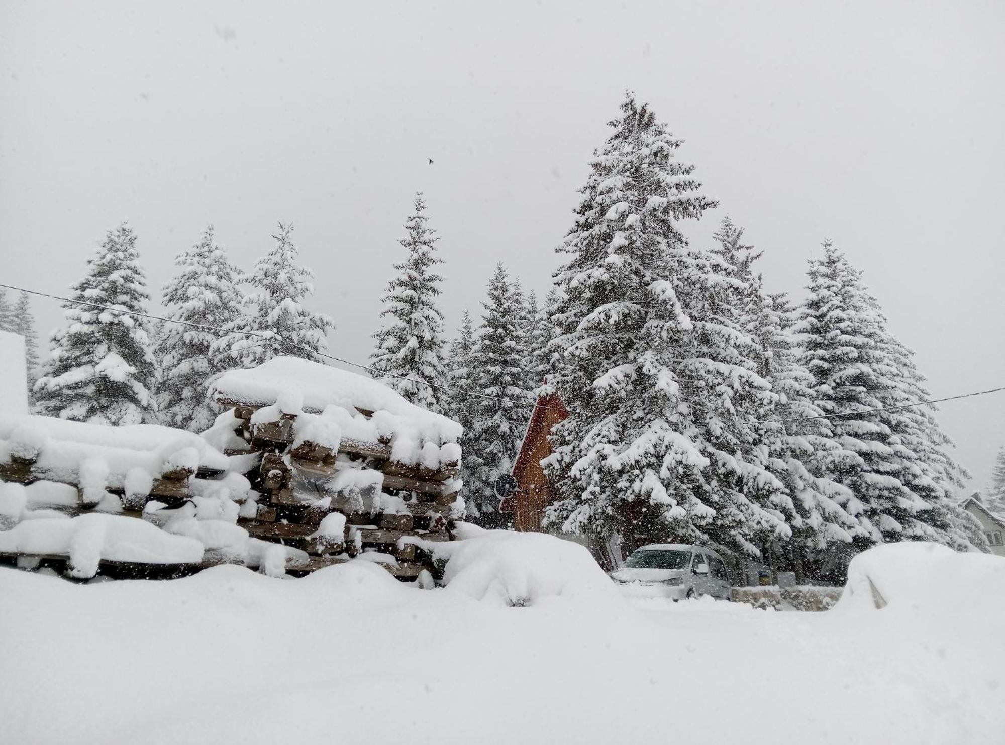 Durmitor Appartement Žabljak Buitenkant foto